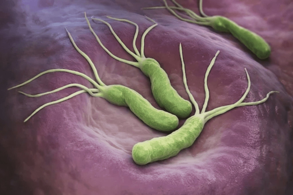 helicobacter pylori . test aliento lima , prueba aliento