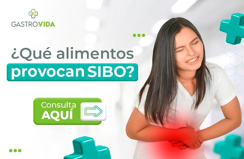 que-alimentos-provocan-sibo