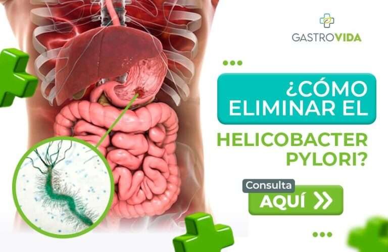 ¿Cómo Eliminar el Helicobacter Pylori? - GASTROVIDA