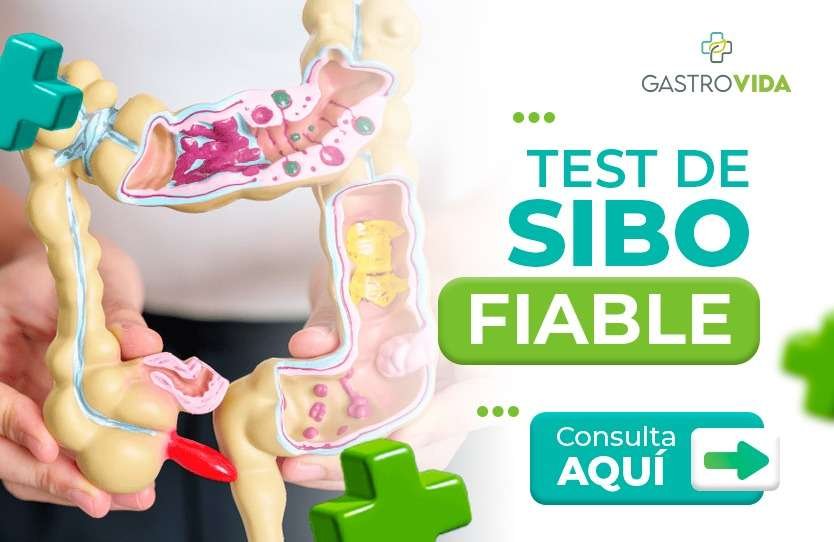 Test de sibo fiable
