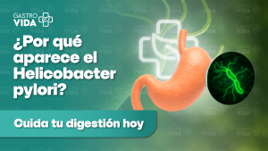 ¿Por qué aparece el Helicobacter Pylori?